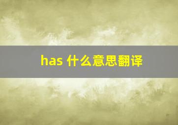 has 什么意思翻译